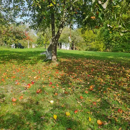 Belle Maison En Pierre, Grand Jardin Au Calme Rocquemont